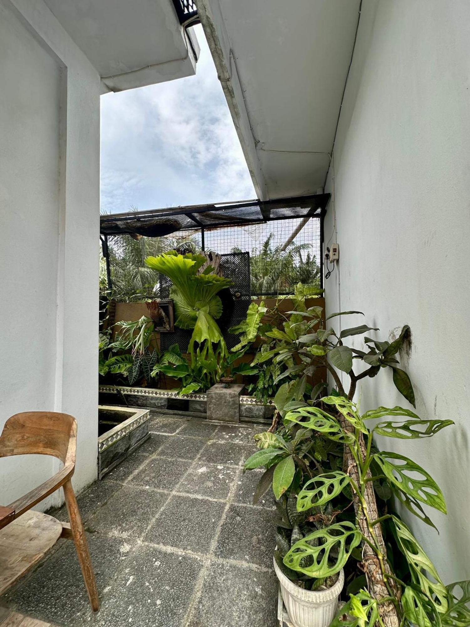 Rumah Kita Canggu Exteriér fotografie